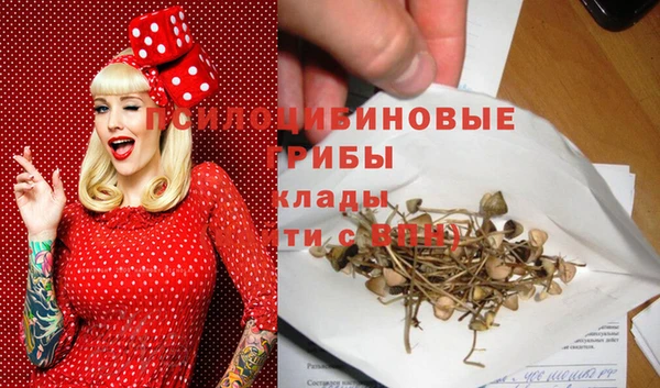 apvp Володарск