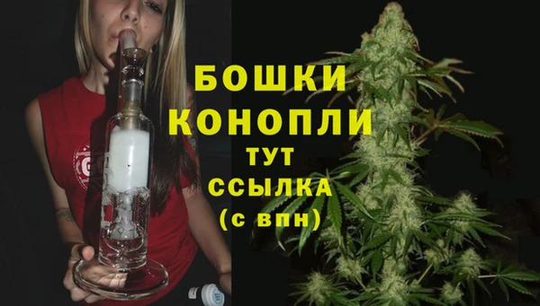 apvp Володарск